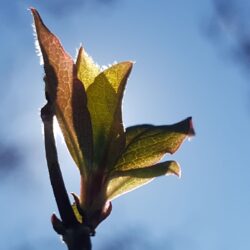 Clarity workshops in de knop Foto Sjoukje de Vries